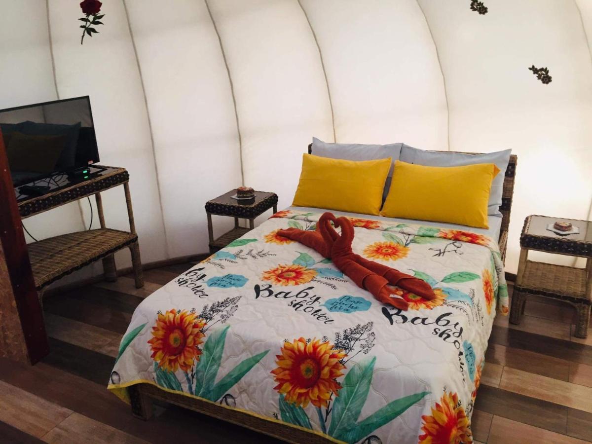 Shenanigans Glamping Resort Zamboanguita  Bagian luar foto